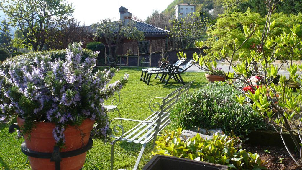Casa Beatrice Apartment Oliveto Lario Exterior foto